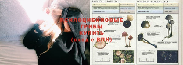 ALPHA-PVP Горно-Алтайск