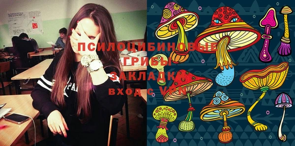 гашик Гусиноозёрск