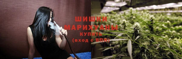 apvp Гусев