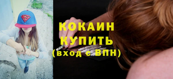 apvp Гусев