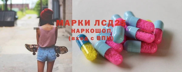 apvp Гусев
