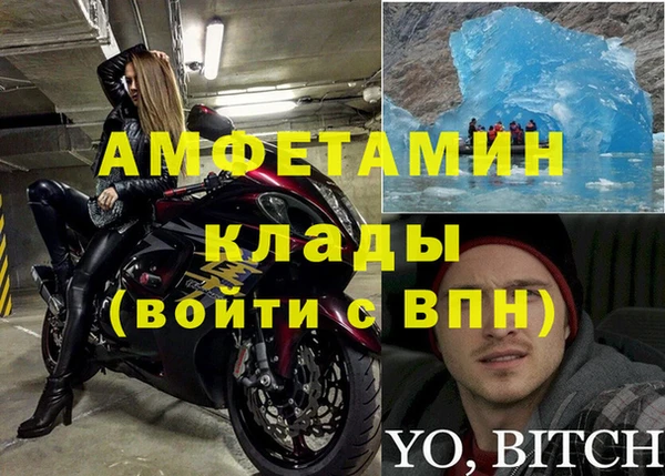 apvp Гусев