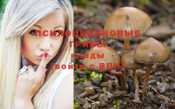 гашик Гусиноозёрск