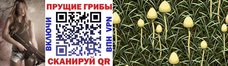Купить Дюртюли Галлюциногенные грибы Magic Shrooms